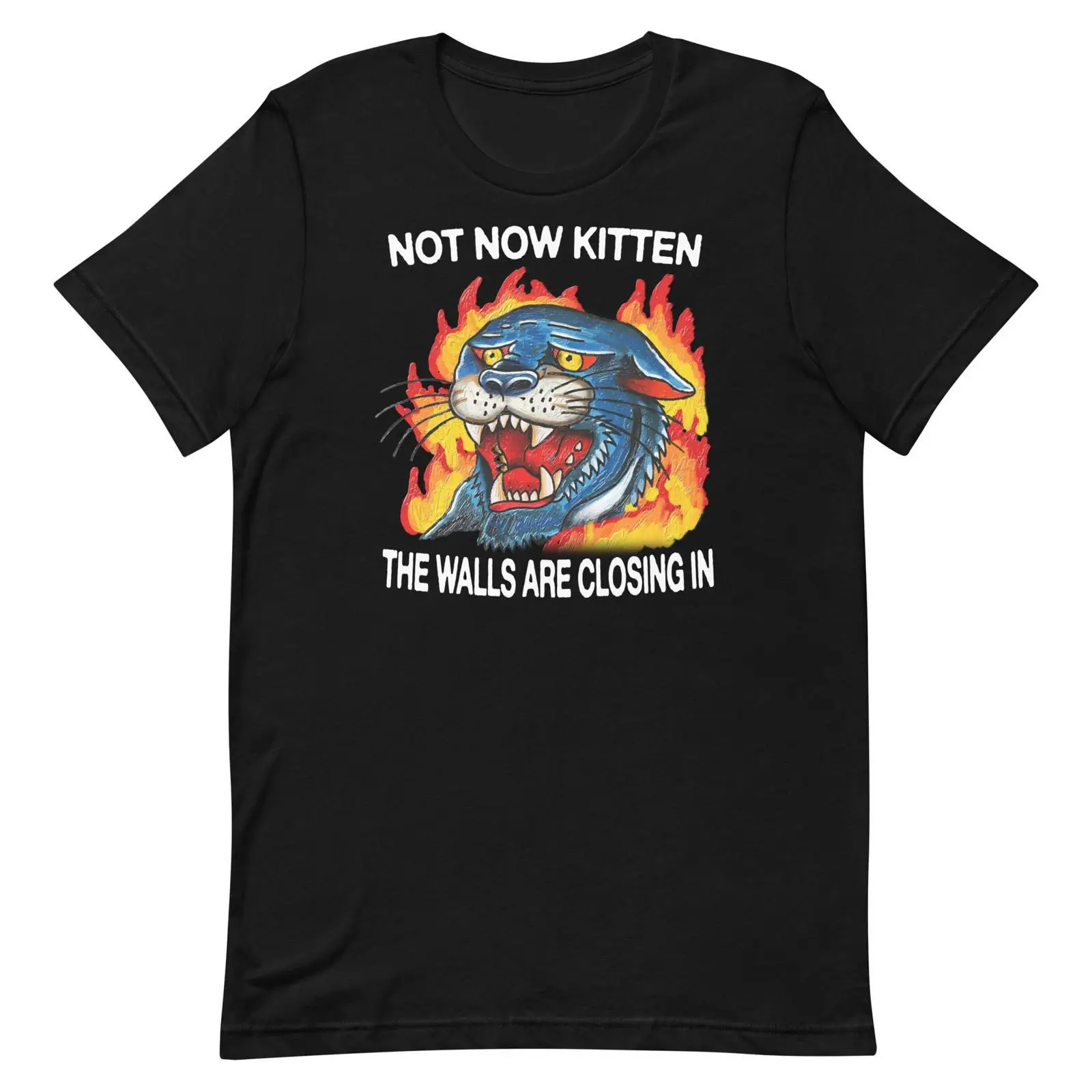 Not Now Kitten t shirt vintage - Vintage Fashion Now avis et prix